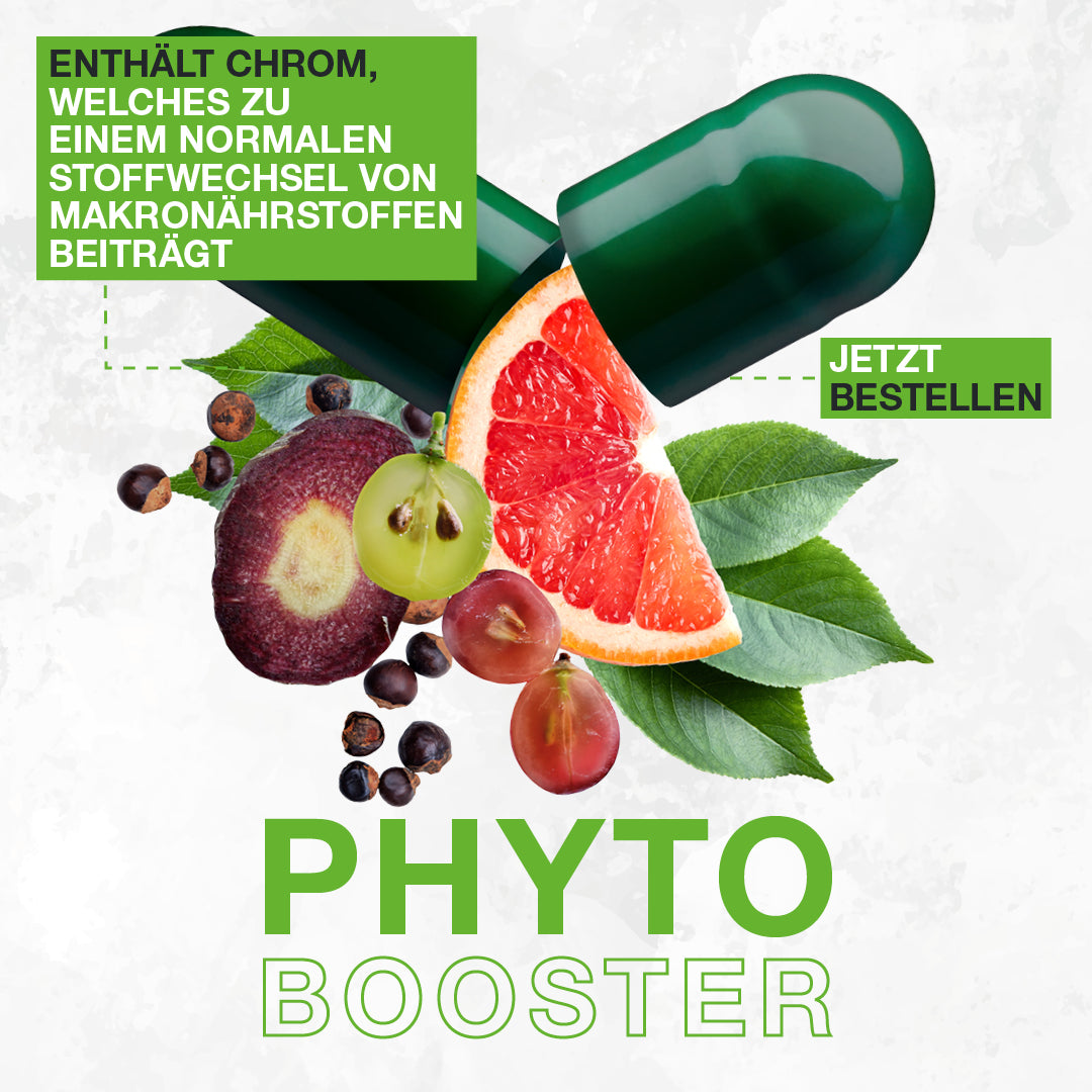 Phyto Booster 60 Kapseln